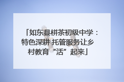 如东县栟茶初级中学：特色深耕 托管服务让乡村教育“活”起来