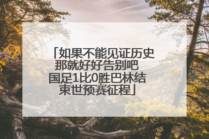 如果不能见证历史 那就好好告别吧 国足1比0胜巴林结束世预赛征程