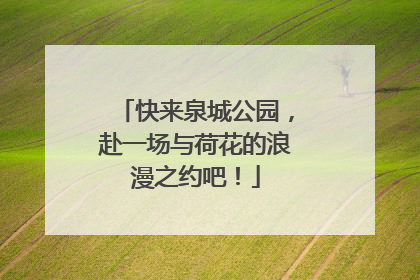 快来泉城公园，赴一场与荷花的浪漫之约吧！