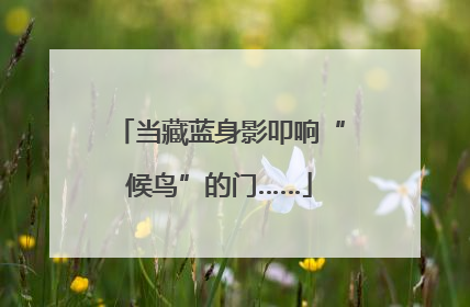 当藏蓝身影叩响“候鸟”的门……