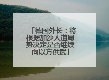 德国外长：将根据加沙人道局势决定是否继续向以方供武