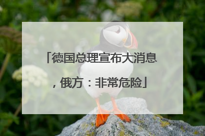 德国总理宣布大消息，俄方：非常危险