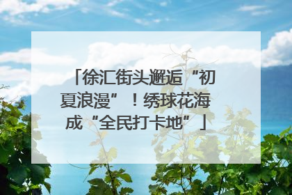 徐汇街头邂逅“初夏浪漫”！绣球花海成“全民打卡地”