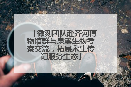 微刻团队赴齐河博物馆群与泉溪生物考察交流，拓展永生传记服务生态