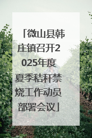 微山县韩庄镇召开2025年度夏季秸秆禁烧工作动员部署会议