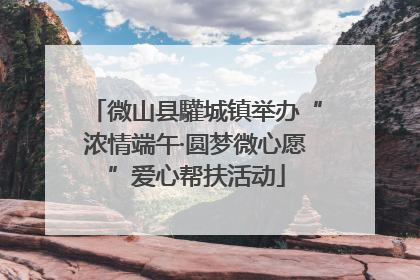 微山县驩城镇举办“浓情端午·圆梦微心愿”爱心帮扶活动