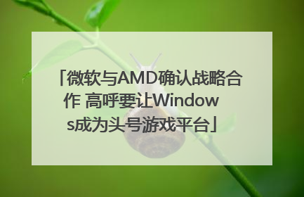 微软与AMD确认战略合作 高呼要让Windows成为头号游戏平台