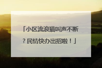 小区流浪猫叫声不断？民情快办出招啦！