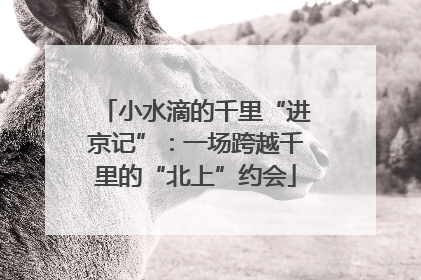 小水滴的千里“进京记”：一场跨越千里的“北上”约会