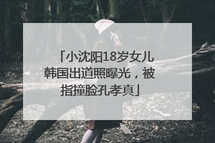 小沈阳18岁女儿韩国出道照曝光，被指撞脸孔孝真