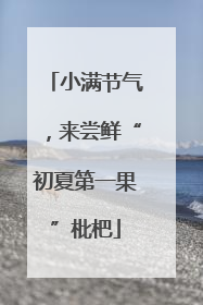 小满节气，来尝鲜“初夏第一果”枇杷