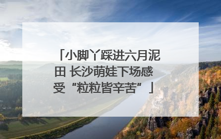 小脚丫踩进六月泥田 长沙萌娃下场感受“粒粒皆辛苦”