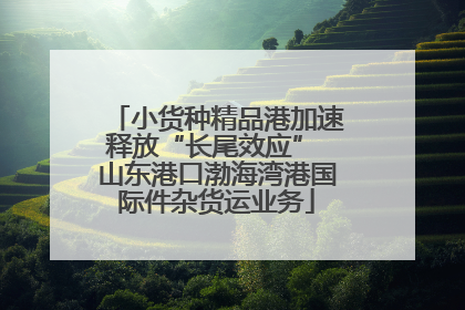 小货种精品港加速释放“长尾效应” 山东港口渤海湾港国际件杂货运业务