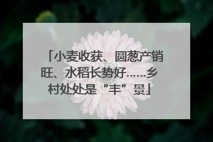 小麦收获、圆葱产销旺、水稻长势好……乡村处处是“丰”景