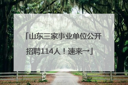 山东三家事业单位公开招聘114人！速来→