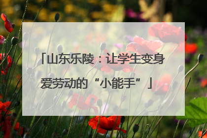 山东乐陵：让学生变身爱劳动的“小能手”