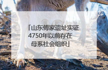 山东傅家遗址实证4750年以前存在母系社会组织