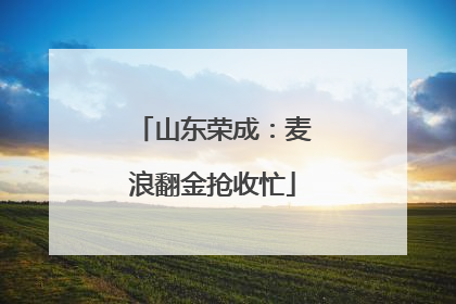 山东荣成：麦浪翻金抢收忙