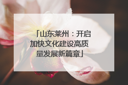 山东莱州：开启加快文化建设高质量发展新篇章
