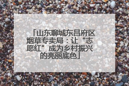 山东聊城东昌府区烟草专卖局：让“志愿红”成为乡村振兴的亮丽底色
