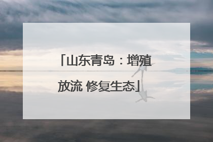 山东青岛：增殖放流 修复生态