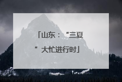 山东：“三夏”大忙进行时