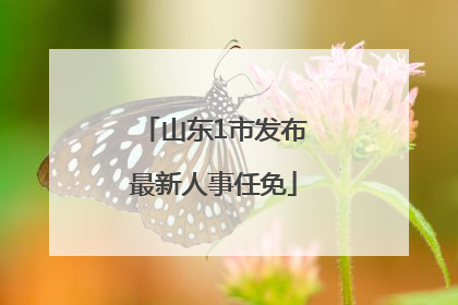 山东1市发布最新人事任免