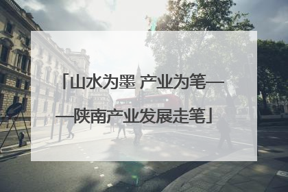 山水为墨 产业为笔——陕南产业发展走笔