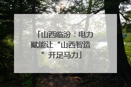 山西临汾：电力赋能让“山西智造”开足马力