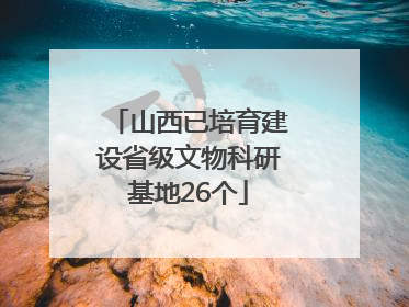 山西已培育建设省级文物科研基地26个
