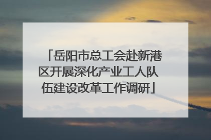 岳阳市总工会赴新港区开展深化产业工人队伍建设改革工作调研