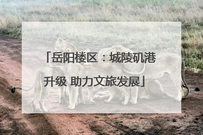 岳阳楼区：城陵矶港升级 助力文旅发展
