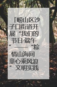 崂山区沙子口街道开展“我们的节日·端午”——“粽情山海间 童心乘风浪”文明实践活动