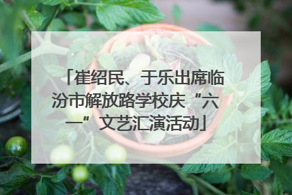 崔绍民、于乐出席临汾市解放路学校庆“六一”文艺汇演活动