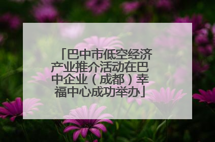 巴中市低空经济产业推介活动在巴中企业（成都）幸福中心成功举办