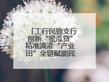 工行民勤支行创新“蜜瓜贷”精准滴灌“产业田”全链赋能民勤乡村振兴