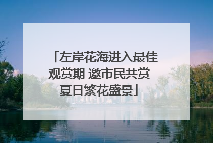 左岸花海进入最佳观赏期 邀市民共赏夏日繁花盛景