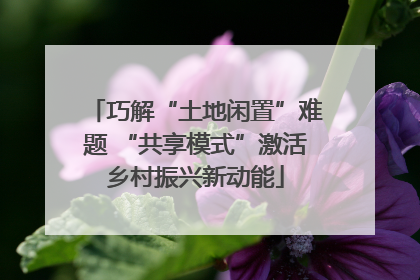 巧解“土地闲置”难题 “共享模式”激活乡村振兴新动能