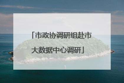 市政协调研组赴市大数据中心调研