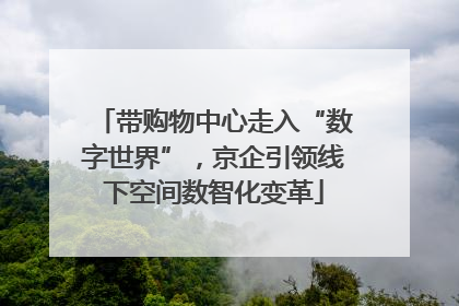 带购物中心走入“数字世界”，京企引领线下空间数智化变革