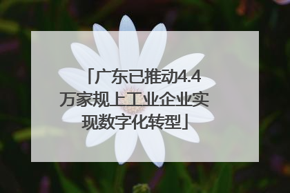 广东已推动4.4万家规上工业企业实现数字化转型