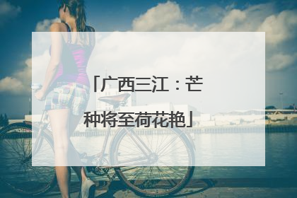广西三江：芒种将至荷花艳