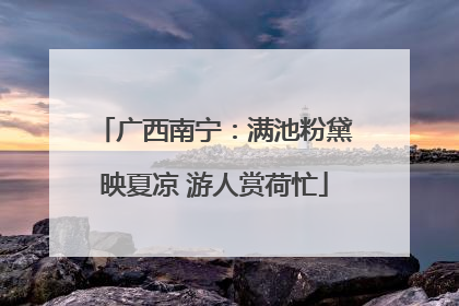 广西南宁：满池粉黛映夏凉 游人赏荷忙