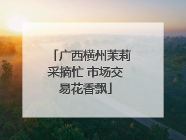 广西横州茉莉采摘忙 市场交易花香飘