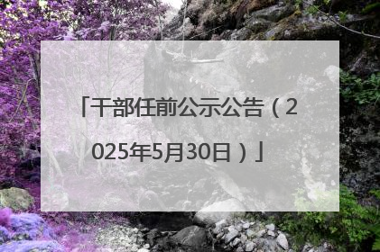 干部任前公示公告（2025年5月30日）