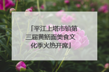平江上塔市镇第三届黄鳝面美食文化季火热开席