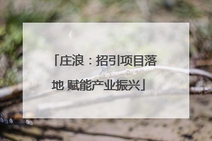 庄浪：招引项目落地 赋能产业振兴