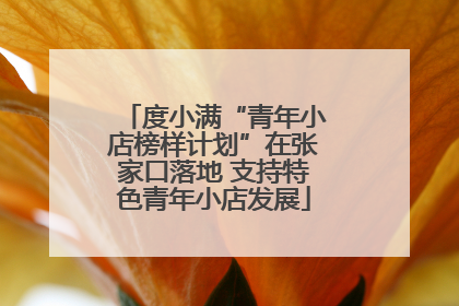 度小满“青年小店榜样计划”在张家口落地 支持特色青年小店发展