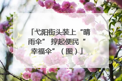 弋阳街头装上“晴雨伞” 撑起便民“幸福伞”（图）