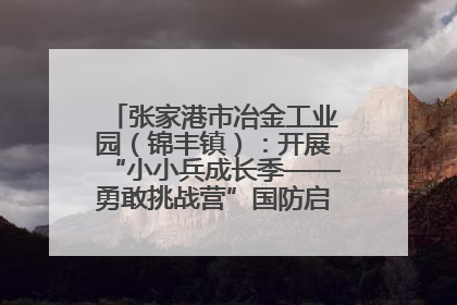 张家港市冶金工业园（锦丰镇）：开展“小小兵成长季——勇敢挑战营”国防启蒙教育活动